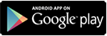 Google Store